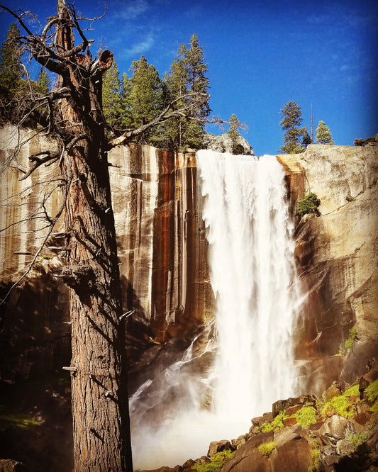 California's National and State Parks