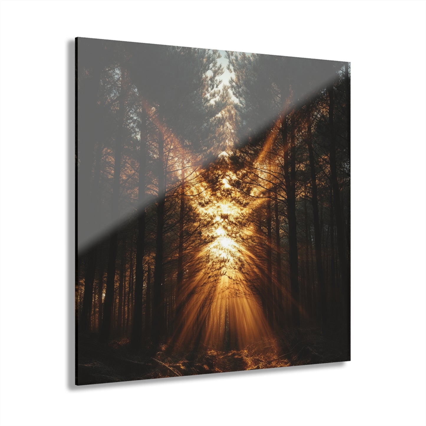 Pine Angel Acrylic Prints (French Cleat Hanging)